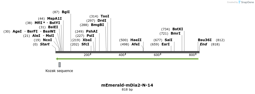 88261_map
