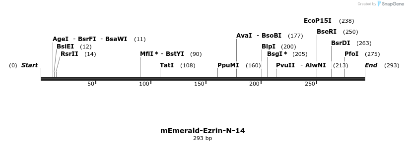88262_map