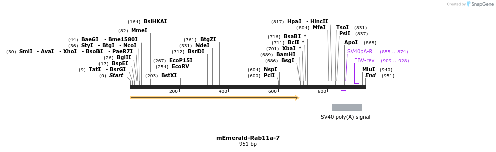 88263_map