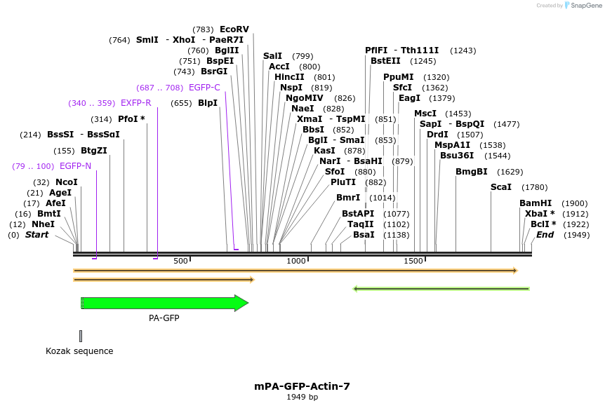 88264_map