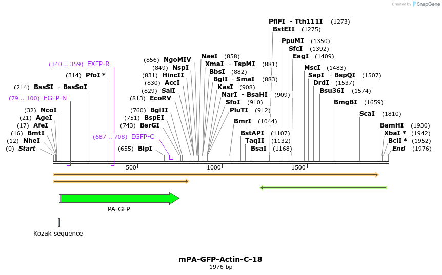 88265_map