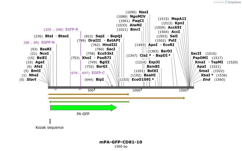 88268_map