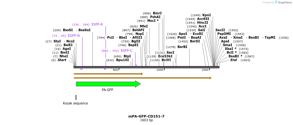 88269_map