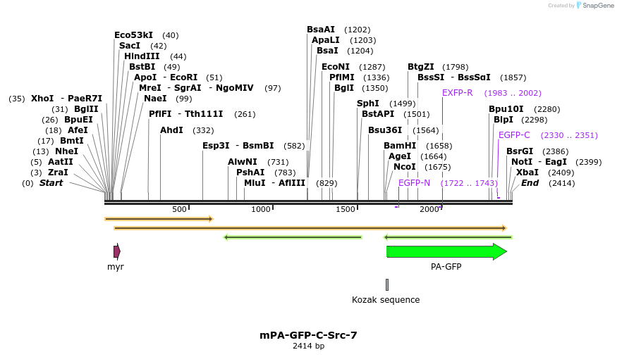 88270_map