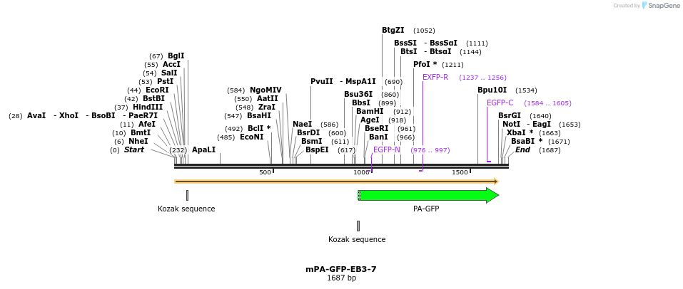 88273_map
