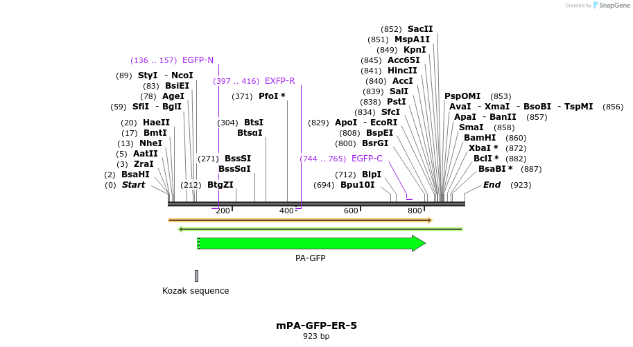 88275_map