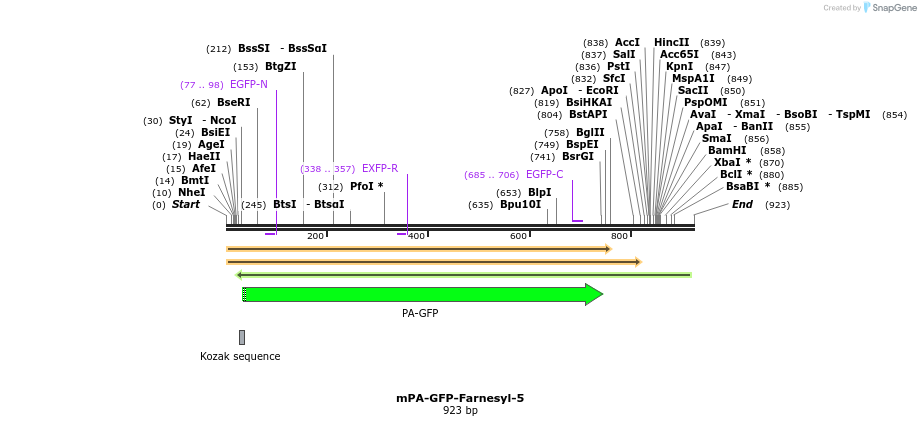 88276_map