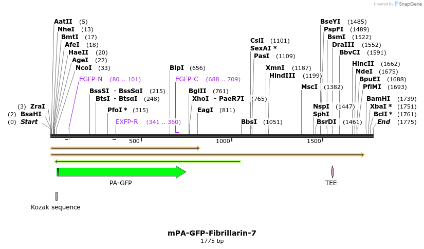 88277_map