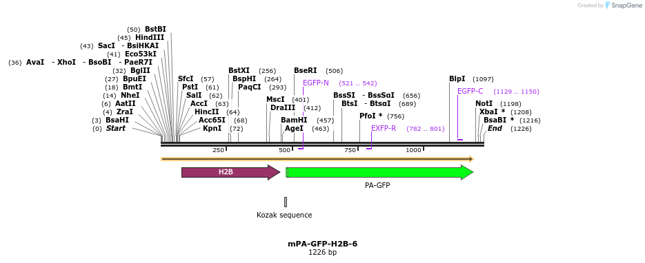88280_map