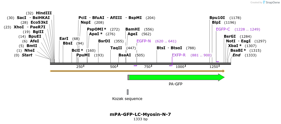 88285_map
