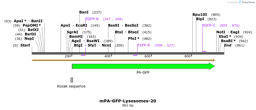 88287_map