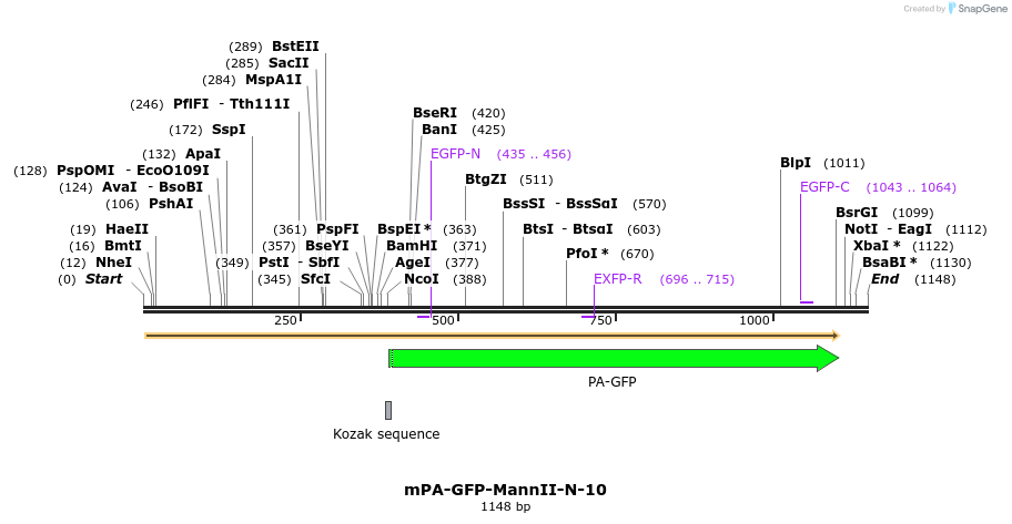 88288_map