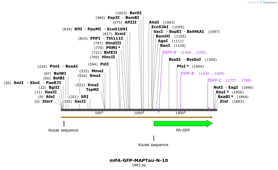 88290_map