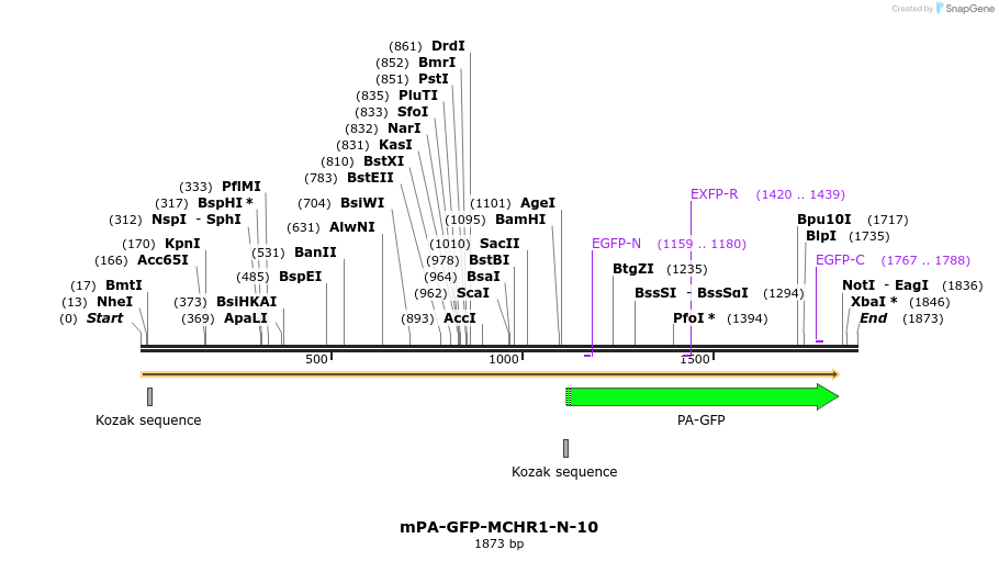 88291_map