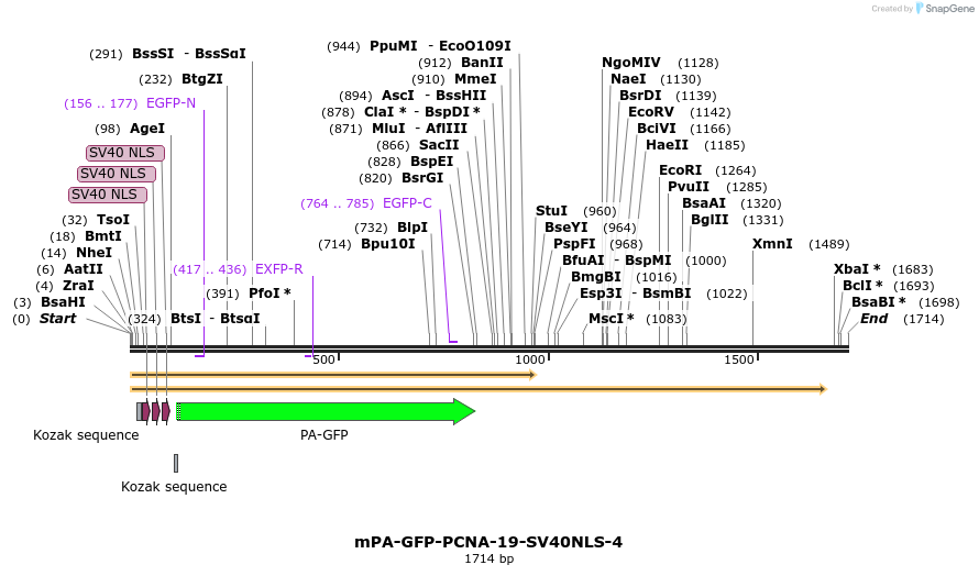 88298_map