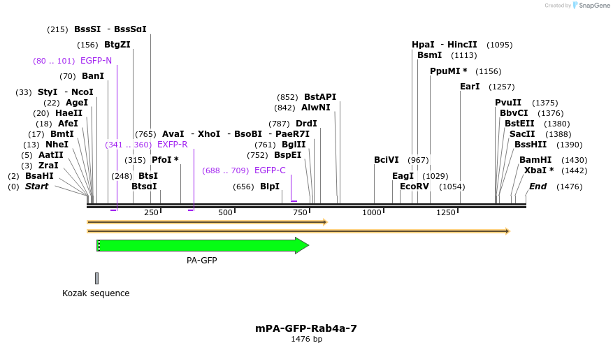 88299_map