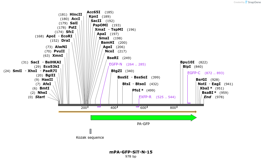 88300_map