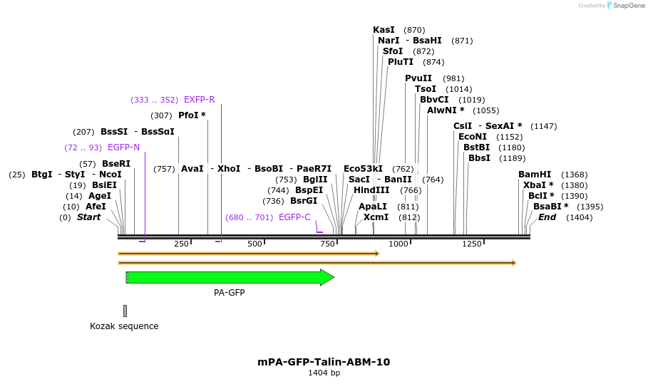 88301_map