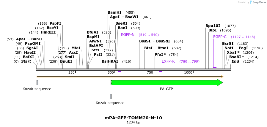 88302_map
