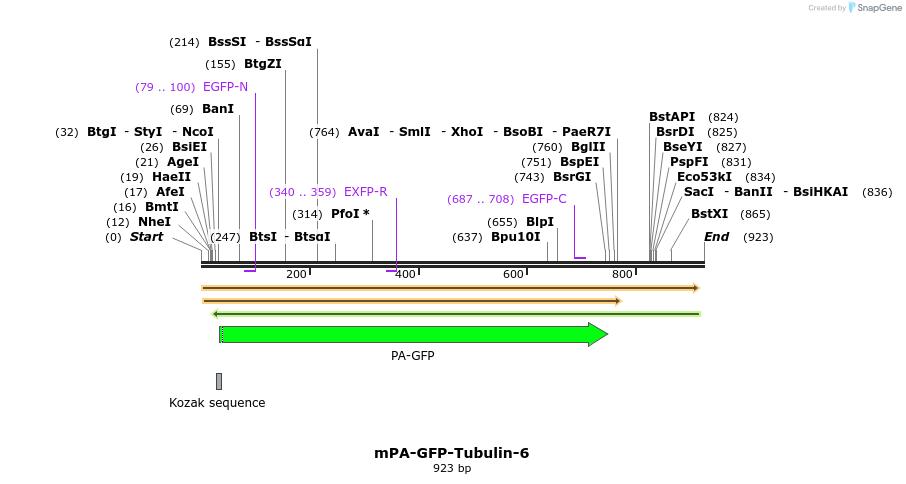 88303_map
