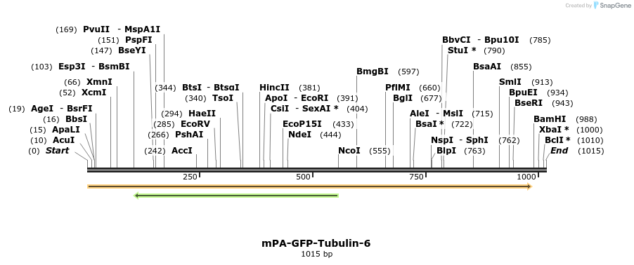 88304_map