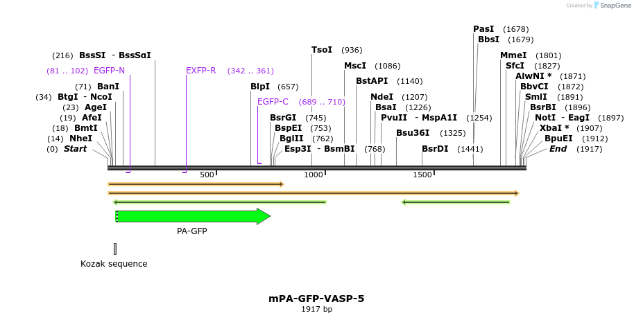 88306_map