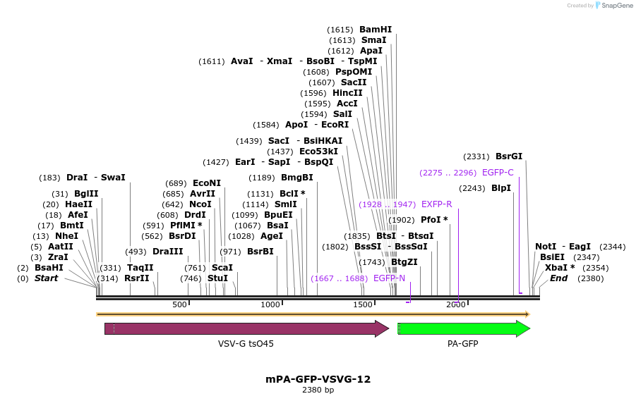 88308_map