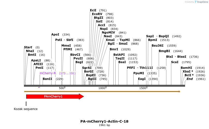 88310_map