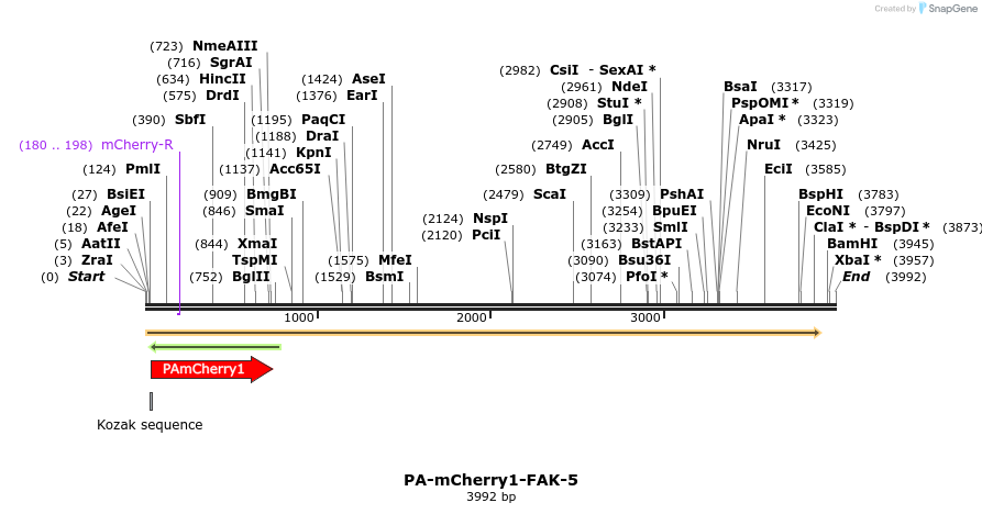 88321_map