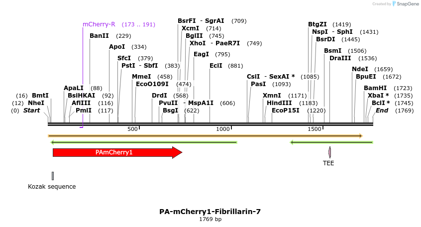 88324_map