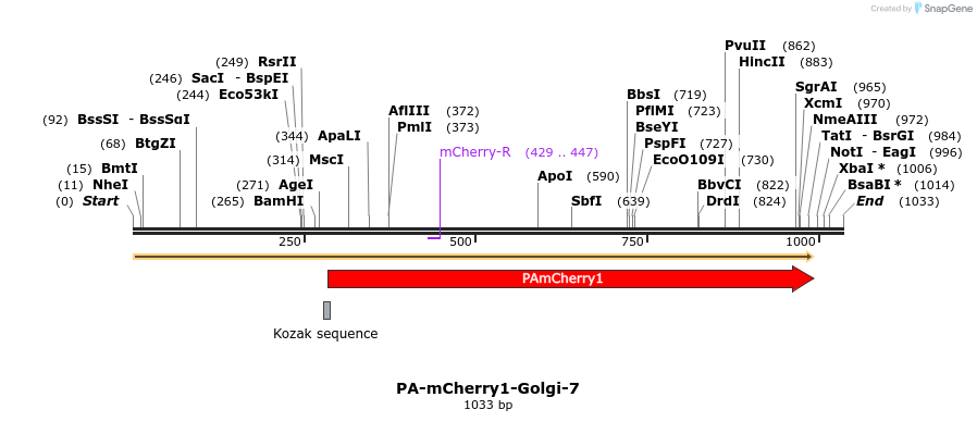 88325_map