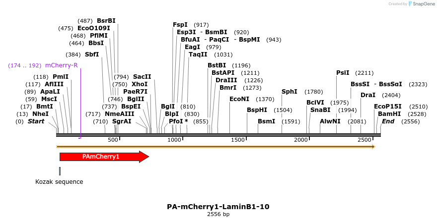 88330_map