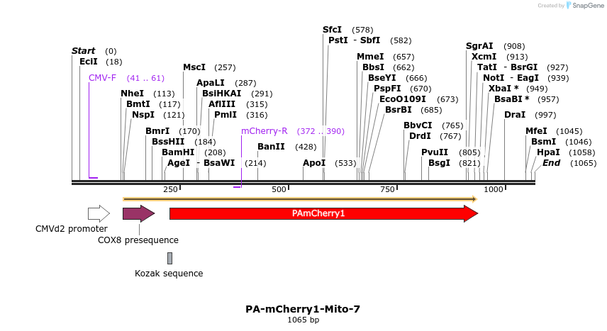 88333_map
