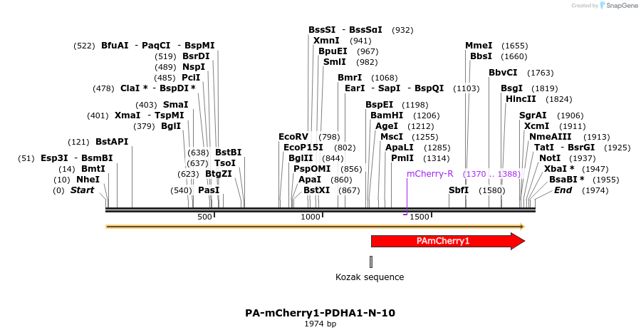 88337_map