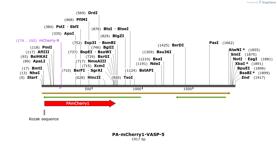 88344_map