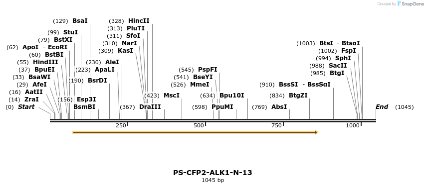 88348_map
