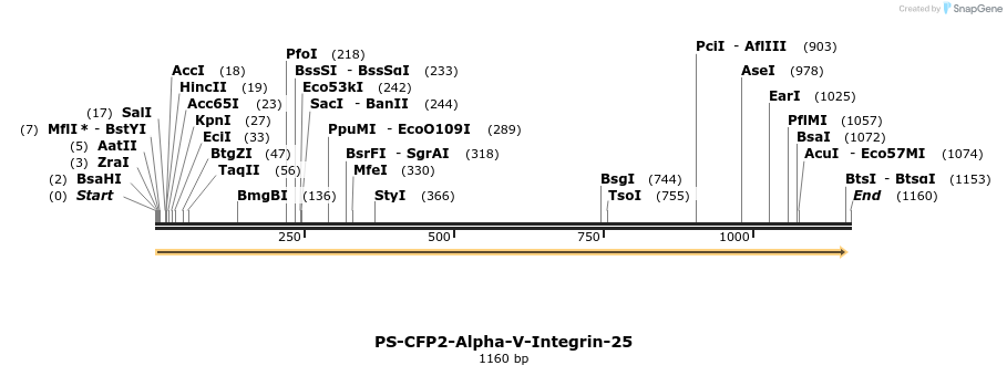 88351_map