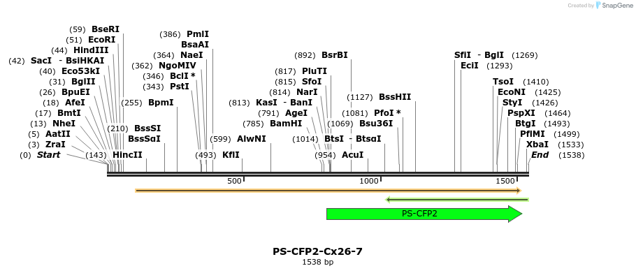 88361_map