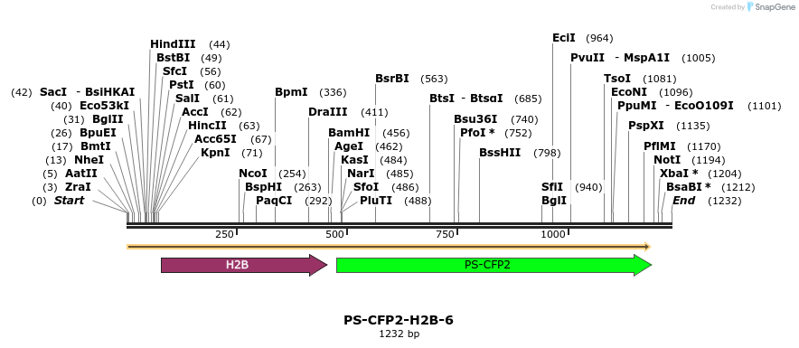 88367_map