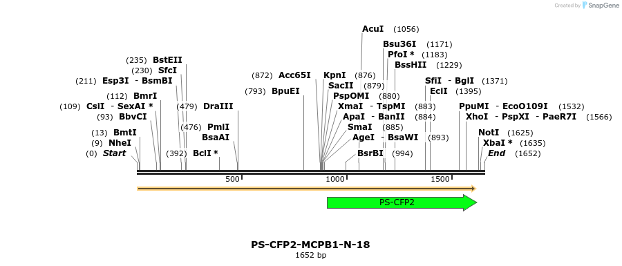 88374_map