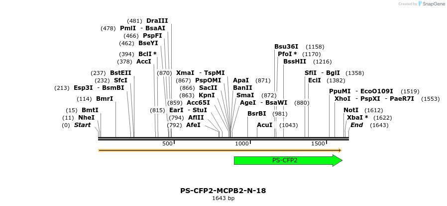 88376_map