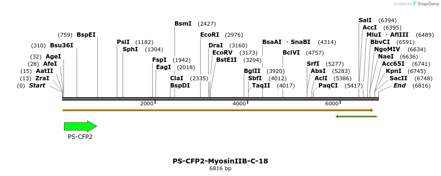 88378_map