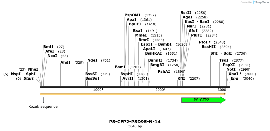 88383_map
