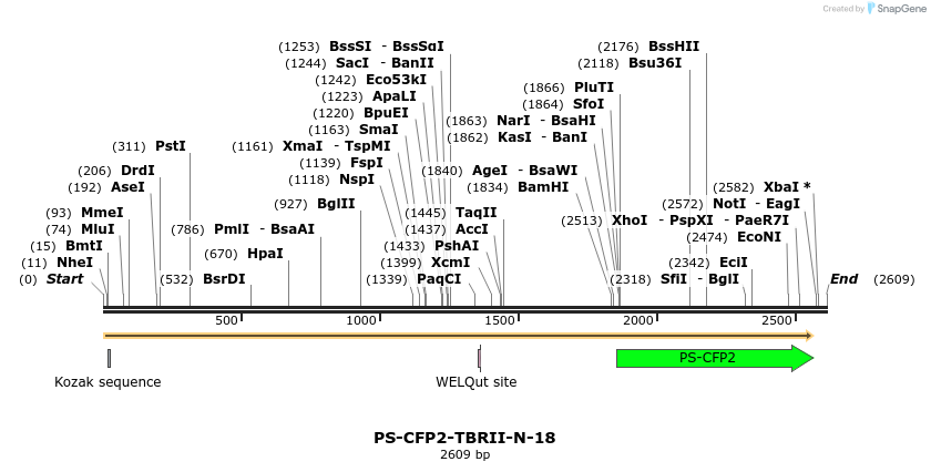 88386_map