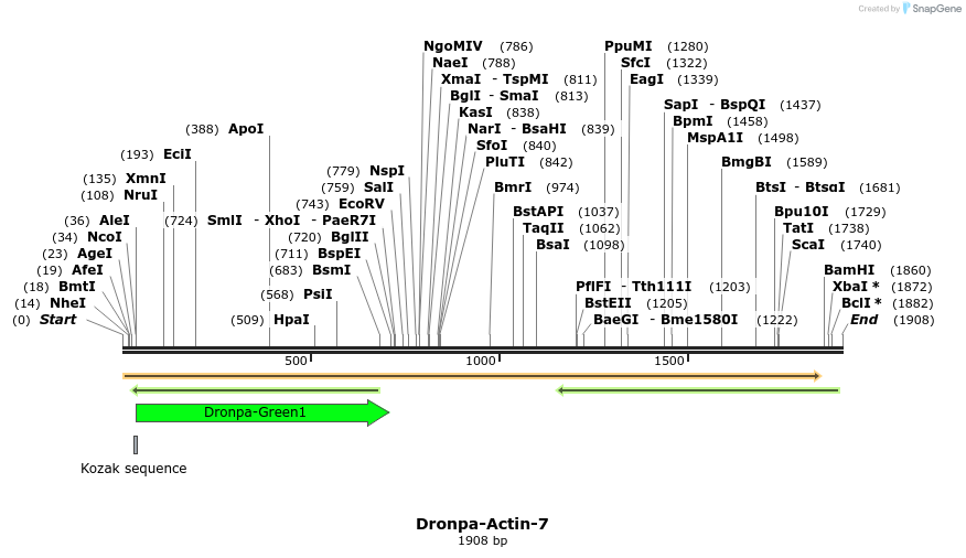 88395_map