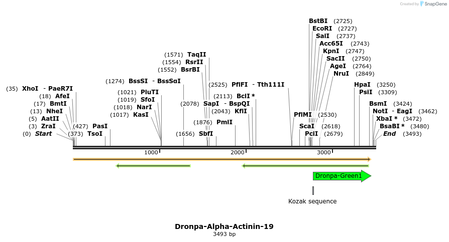 88397_map