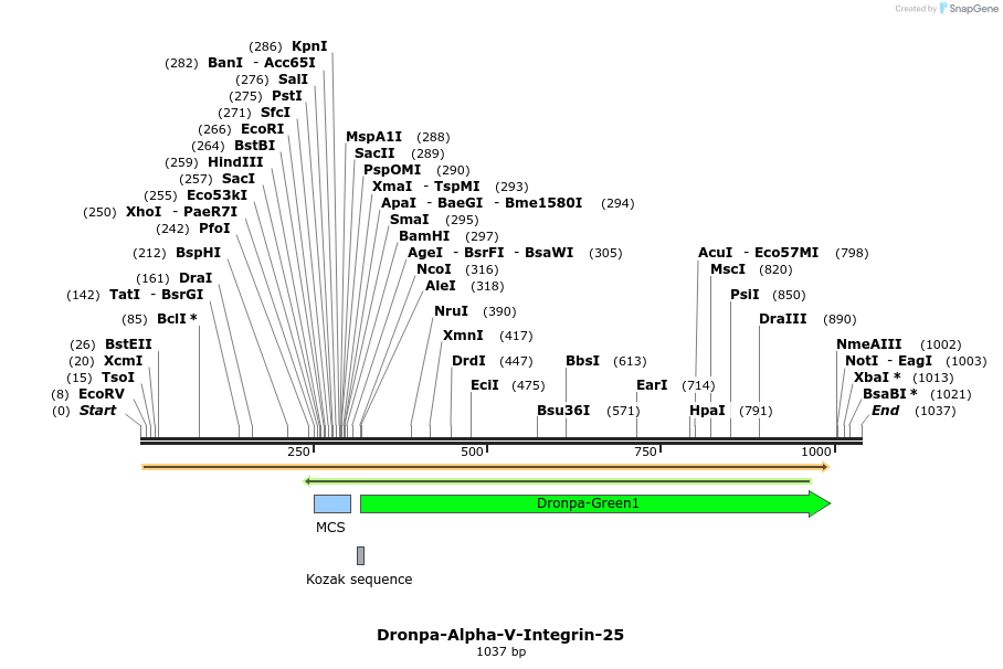 88399_map