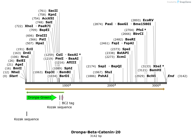 88400_map