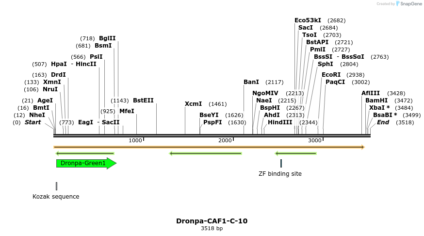 88401_map