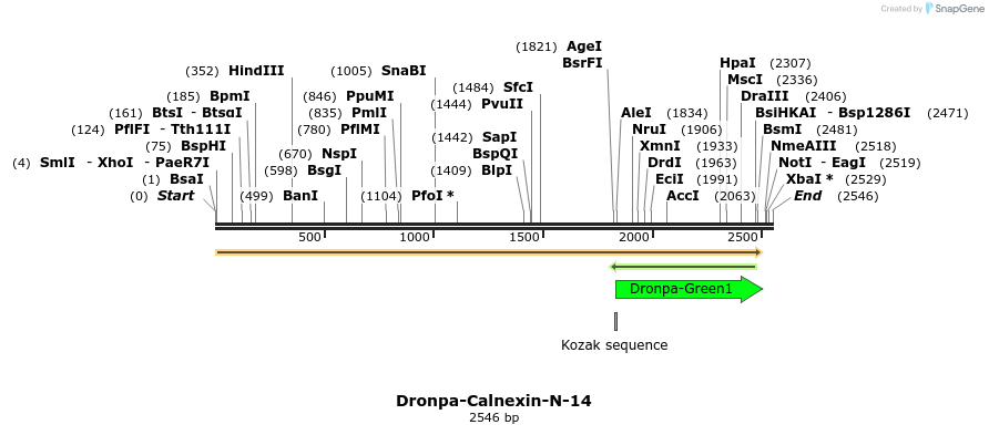 88402_map